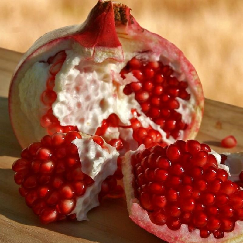 Gránátalma termő 'Acco'(termő)
